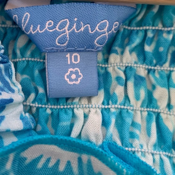 NWT Girls Blue Ginger Dress - Picture 4 of 5